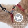 EzyDog Crosscheck Harness - Dog harness | Hardloop