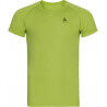 Macaw Green
