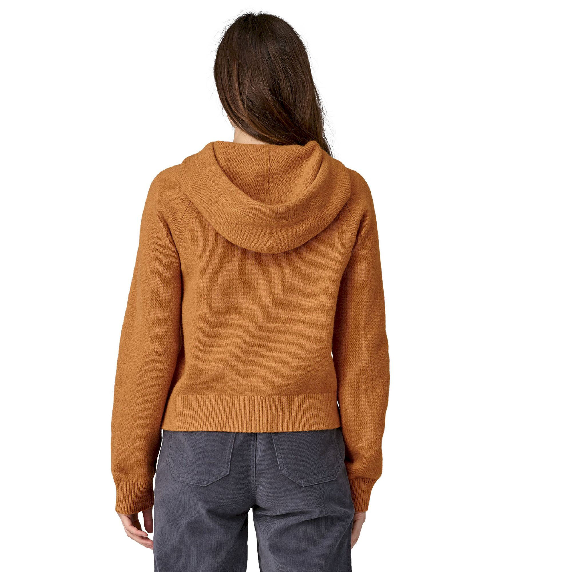 Patagonia Recycled Wool-Blend Hooded Pullover Sweater