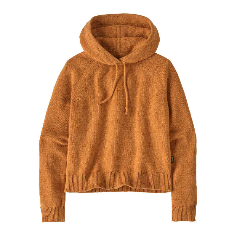 Patagonia Recycled Wool-Blend Hooded Pullover Sweater - Merinohoodie - Dames | Hardloop
