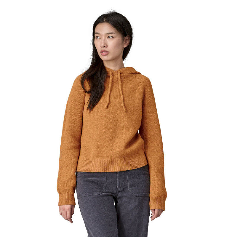 Patagonia Recycled Wool-Blend Hooded Pullover Sweater Felpa di