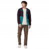 Patagonia Microdini Hoody - Fleecevest - Heren