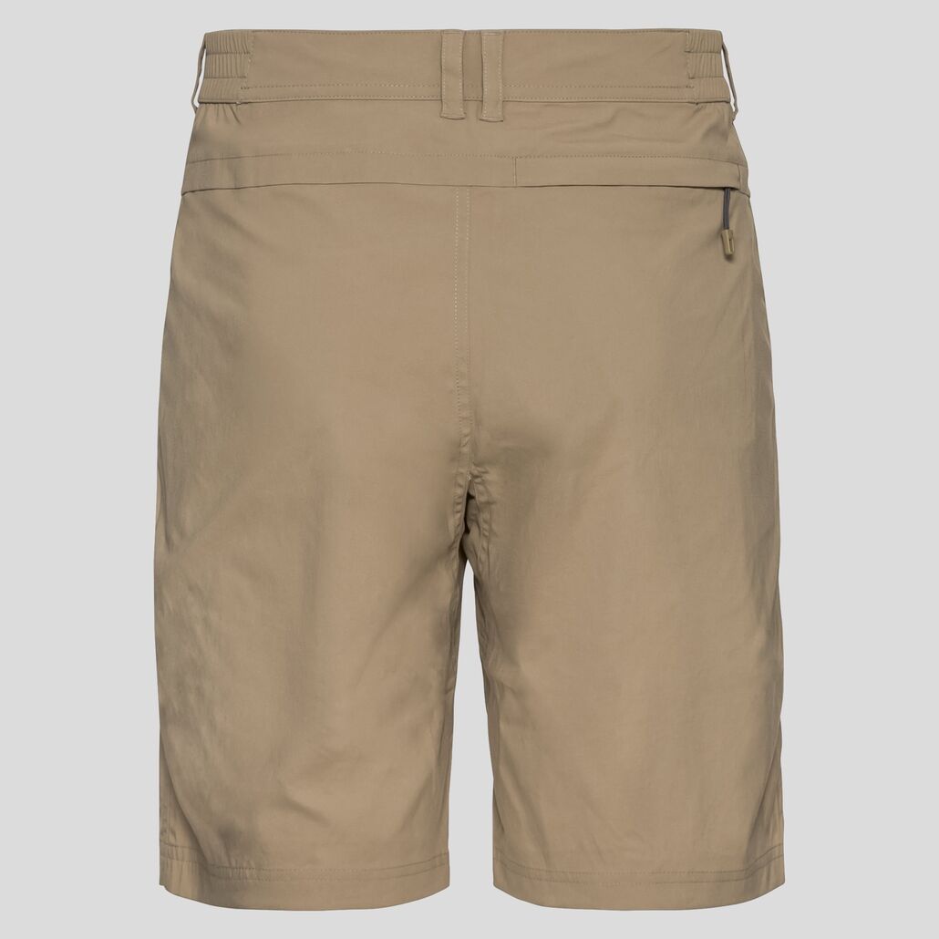 Odlo Wedgemount - Walking shorts - Men's