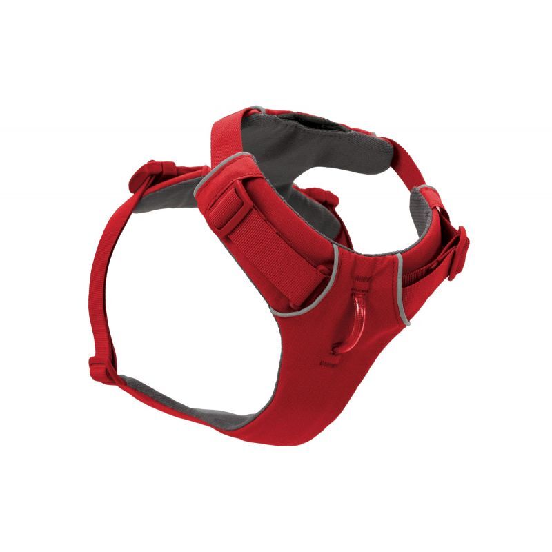 Front Range Harness - Harnais pour chien