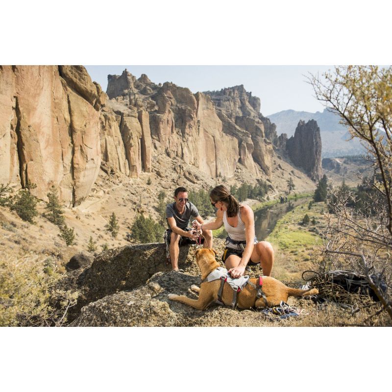 Ruffwear Doubleback Harness - Postroj pro psa | Hardloop