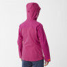 Millet LD Trilogy V Icon GTX Pro Jkt - Veste alpinisme femme | Hardloop