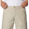 Columbia Washed Out Short - Wandelshort - Heren | Hardloop