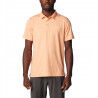 Apricot Fizz Heather