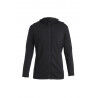 Icebreaker Merino 260 Quantum IV LS Zip Hoodie - Bluza z wełny Merino® męska | Hardloop