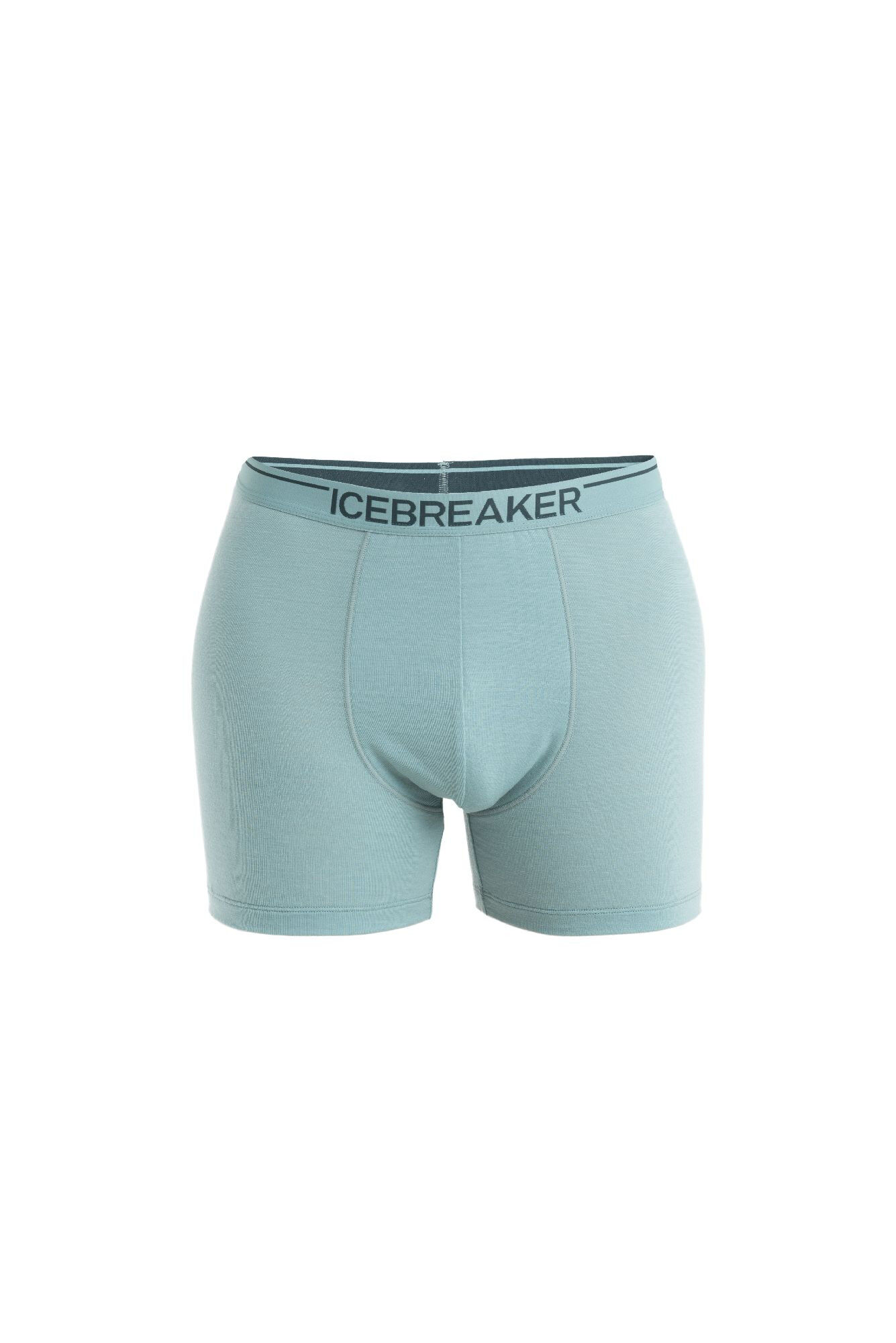 Icebreaker Anatomica Boxers - Bokserki | Hardloop