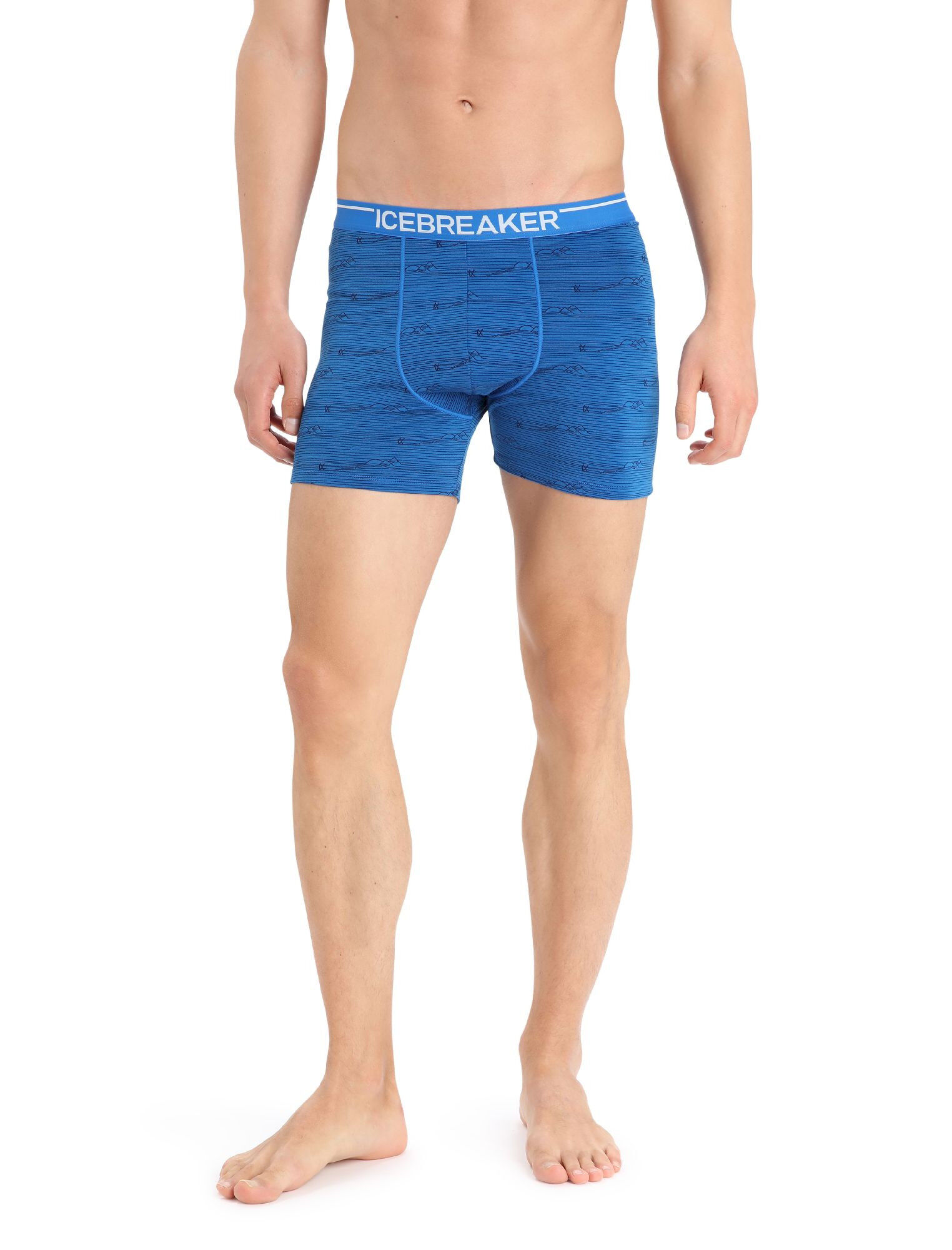 Icebreaker Anatomica Boxers Underwear Men's