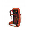 Osprey Talon Pro 30 - Mochila de caminhada homem | Hardloop
