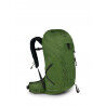 Green Belt / Black