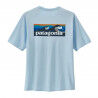 Boardshort Logo: Chilled Blue