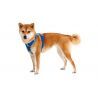 Ruffwear Front Range Harness - Arnês para cachorro | Hardloop