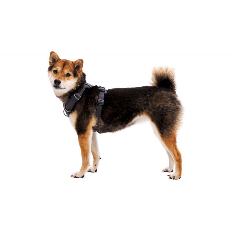 Ruffwear Front Range Harness Dog harness Hardloop