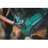 Ruffwear Front Range Day Pack - Sac à dos pour chien randonnée | Hardloop