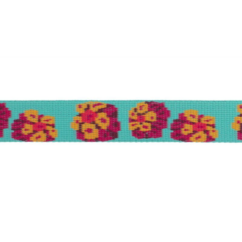 Ruffwear Flat Out - Correa para perro