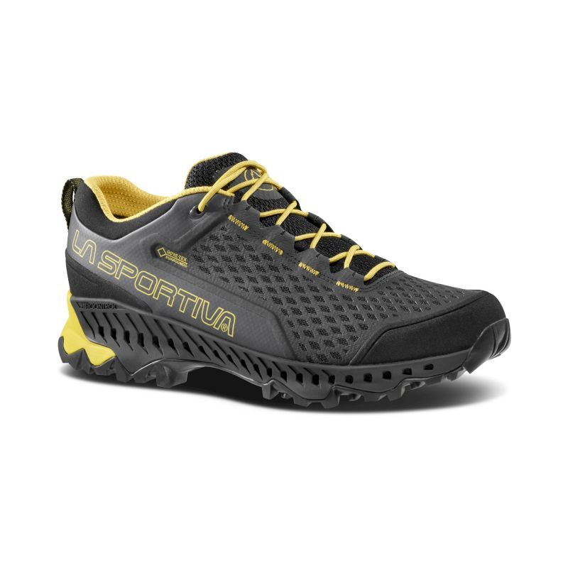 Spire GTX - Chaussures trail homme
