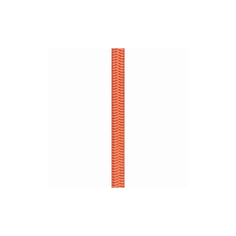Beal - Wall Master 10.5mm - Climbing Rope