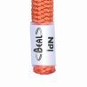 Beal Wall Master 10.5mm - Kletterseil