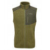 Chlorite Green