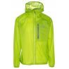 Green lime
