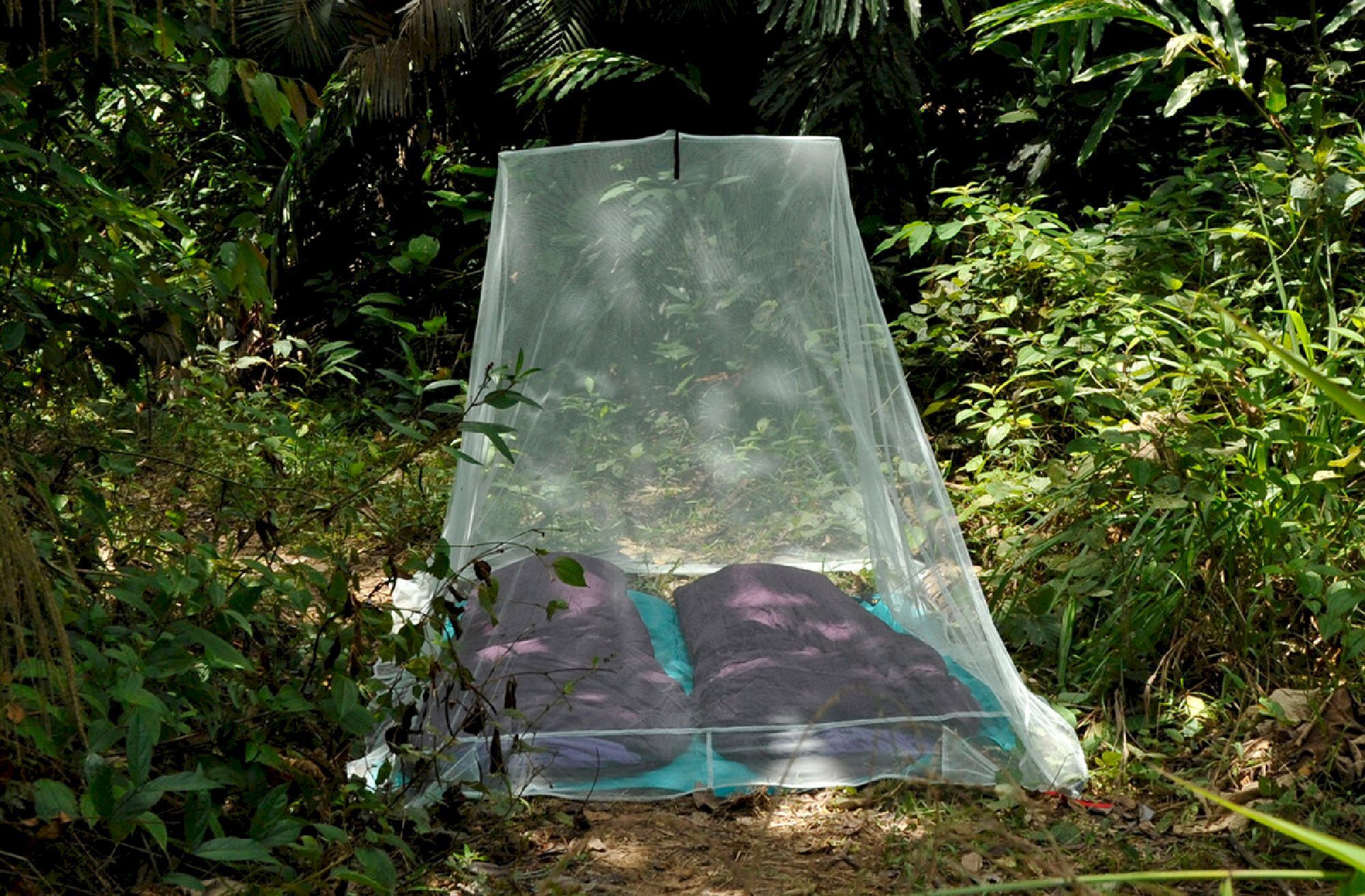 Cocoon Outdoor Mosquito Net Double - Moskitonetz | Hardloop
