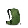 Green Belt / Black