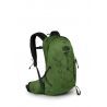 Green Belt / Black