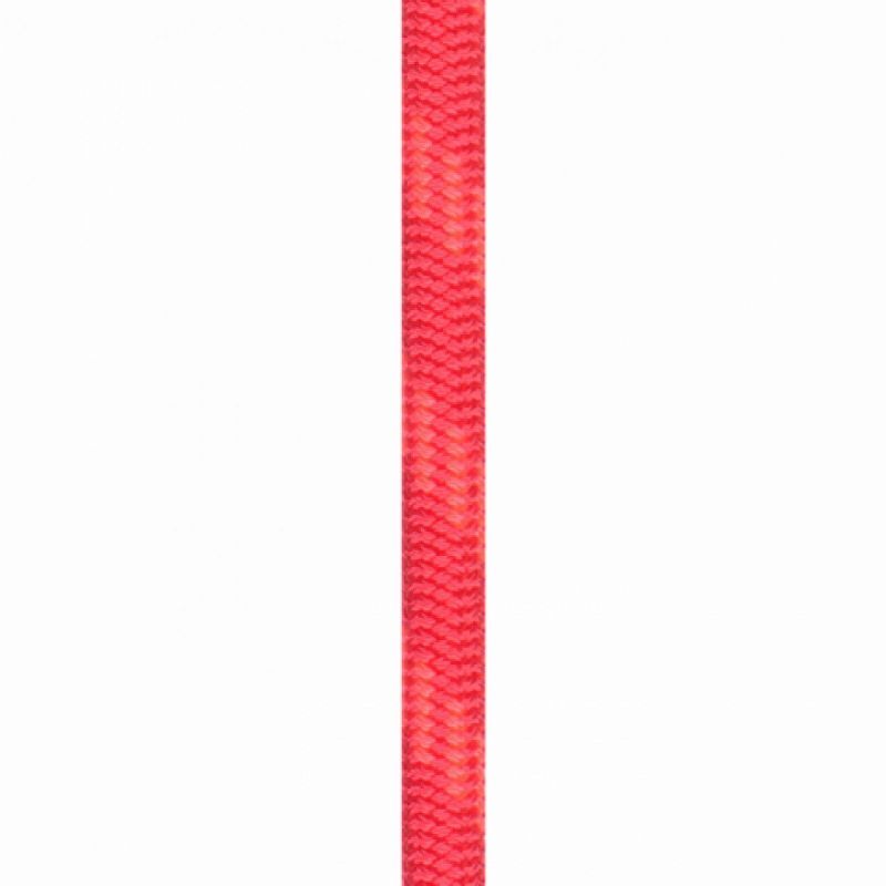 Beal Wall Cruiser 9.6mm - Kletterseil