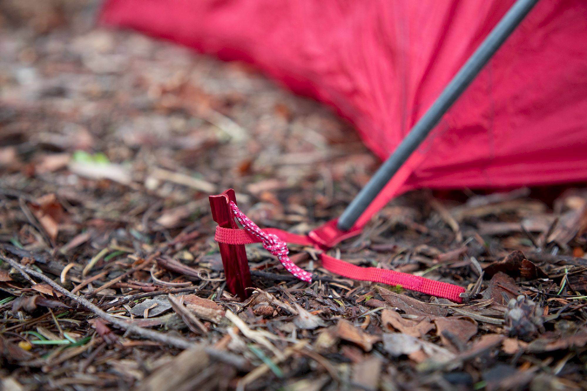 MSR Groundhog Tent Stake - Pichetti da tenda | Hardloop