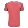Ortovox 120 Tec Fast Mountain TS - Merinoshirt - Damen | Hardloop
