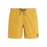 Tumericyellow