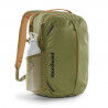 Buckhorn Green