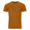 Sly Fox