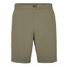 Light Khaki