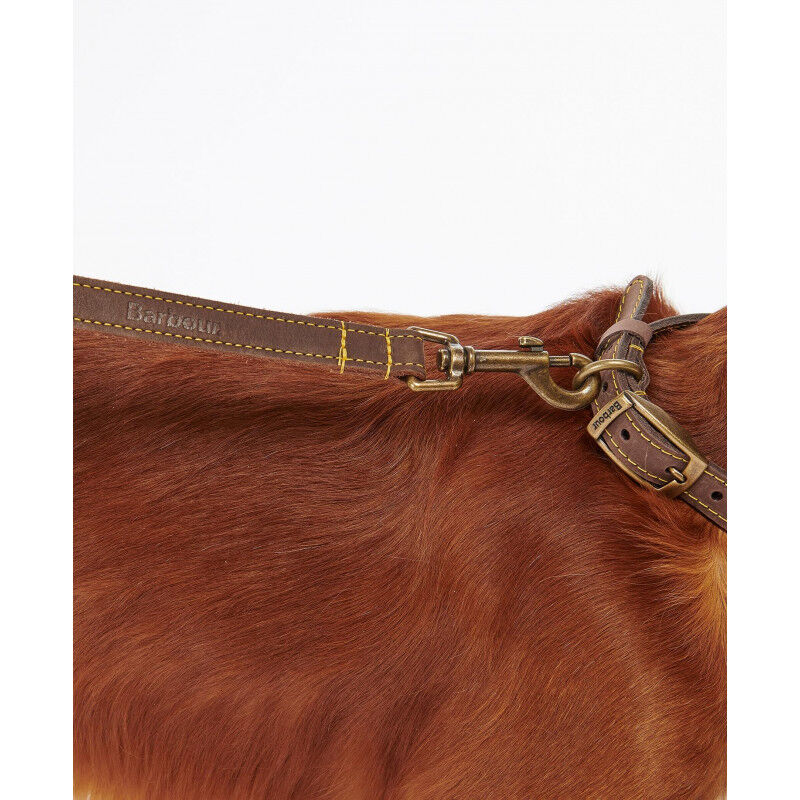 Barbour Leather Dog Lead - Hundeleine | Hardloop