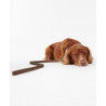 Barbour Leather Dog Lead - Dog lead | Hardloop