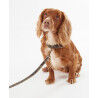 Barbour Reflective Tartan Dog Lead - Guia para cachorro | Hardloop