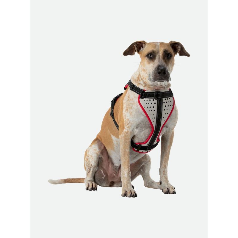 Nathan K9 Reflective Dog Harness - Hundsele | Hardloop