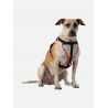 Nathan K9 Reflective Dog Harness - Postroj pro psa | Hardloop