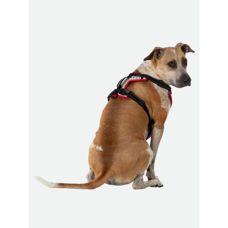 Nathan K9 Reflective Dog Harness - Postroj pro psa | Hardloop