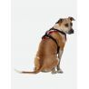 Nathan K9 Reflective Dog Harness - Hundeseler | Hardloop