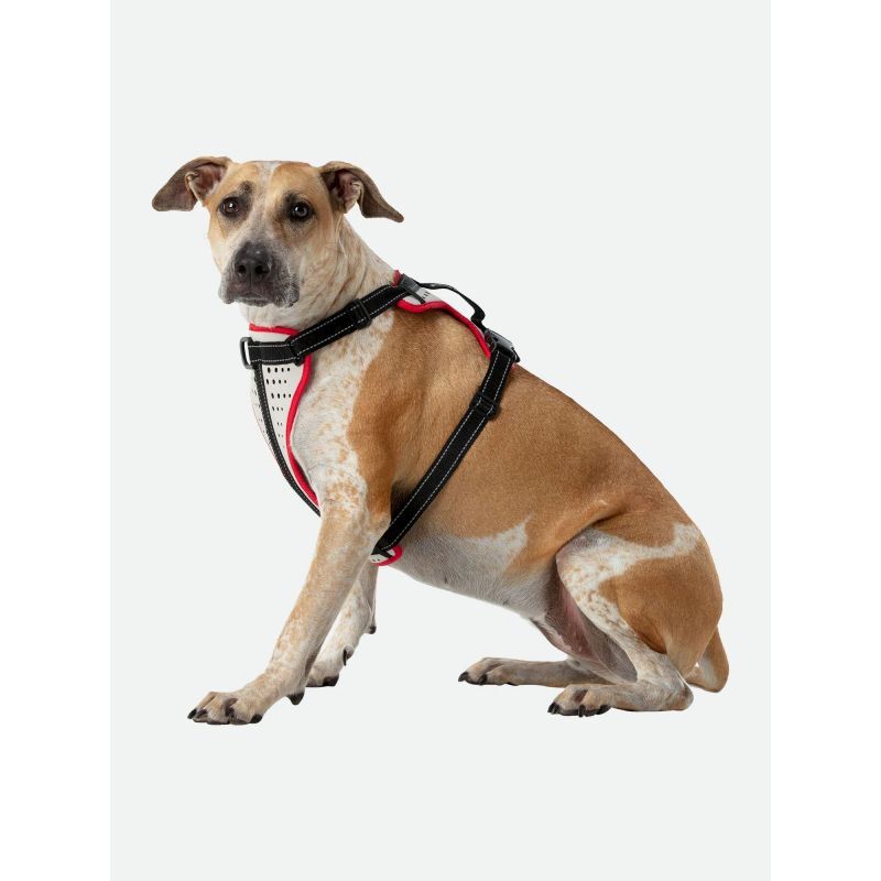Nathan K9 Reflective Dog Harness - Koiran valjaat | Hardloop