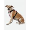 Nathan K9 Reflective Dog Harness - Hundeseler | Hardloop