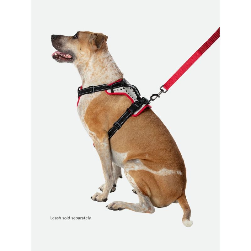 Nathan K9 Reflective Dog Harness - Hundegeschirr | Hardloop