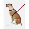 Nathan K9 Reflective Dog Harness - Hundeseler | Hardloop