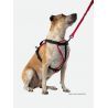 Nathan K9 Reflective Dog Harness - Postroj pro psa | Hardloop