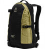 True Black / Olive Green
